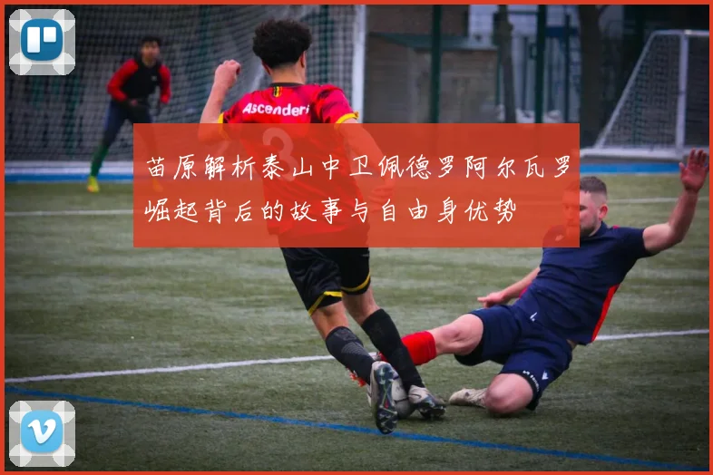 苗原解析泰山中卫佩德罗阿尔瓦罗崛起背后的故事与自由身优势
